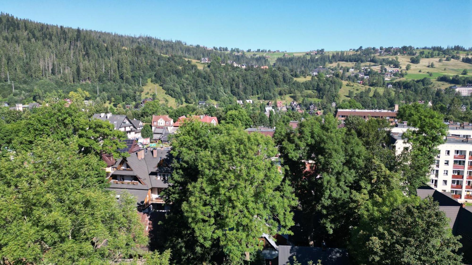 Tatry Prestige Knap Studio Zakopane Buitenkant foto